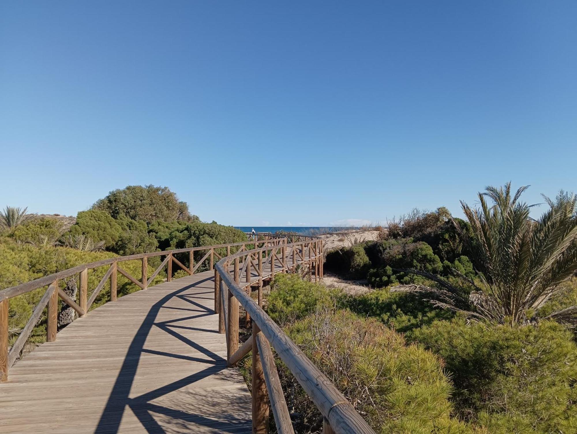Bonito Apartamento 150 M De La Playa La Mata La Mata  Extérieur photo