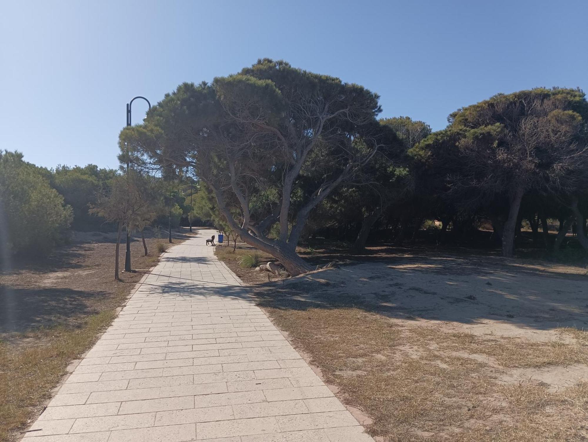 Bonito Apartamento 150 M De La Playa La Mata La Mata  Extérieur photo