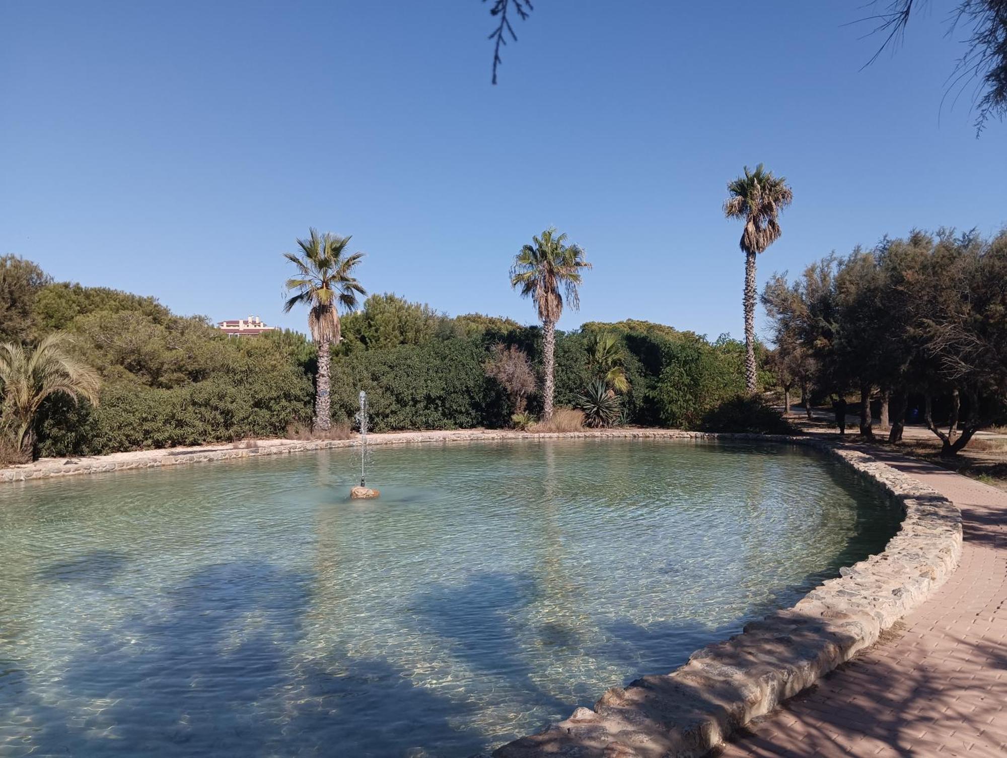 Bonito Apartamento 150 M De La Playa La Mata La Mata  Extérieur photo